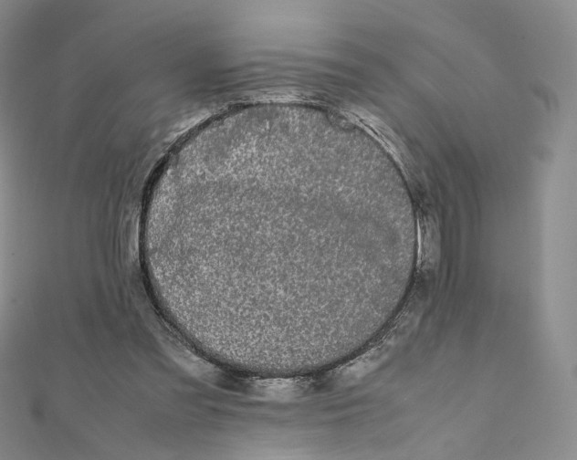 X0000112070301200909011028