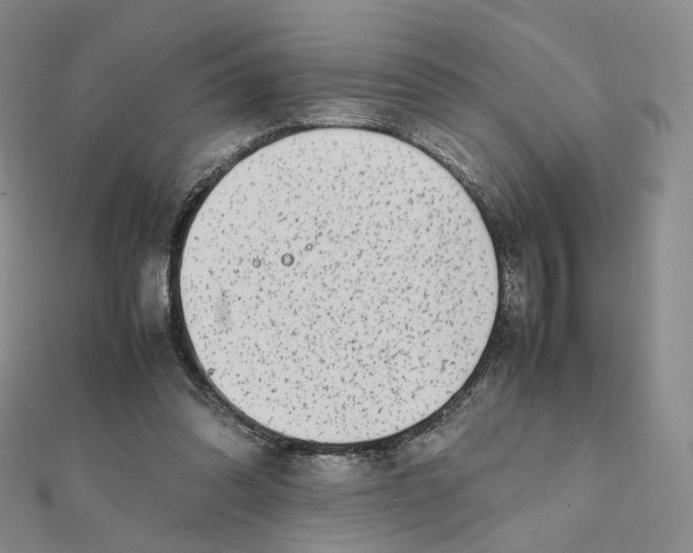 X0000112070302200909011028