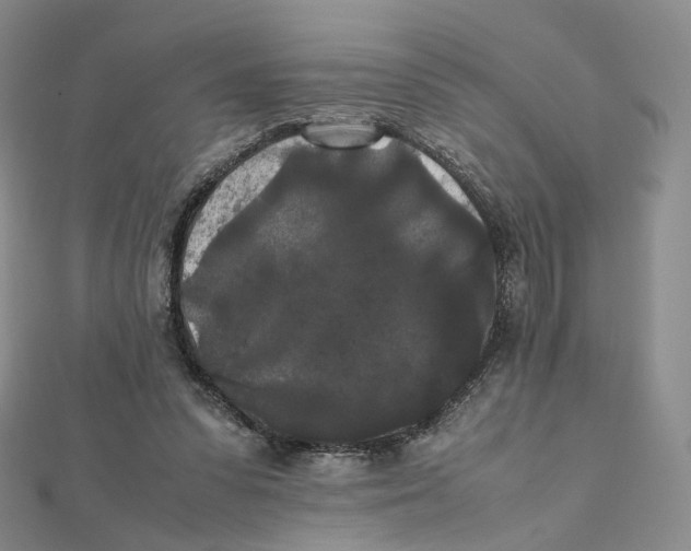 X0000112070303200909011028