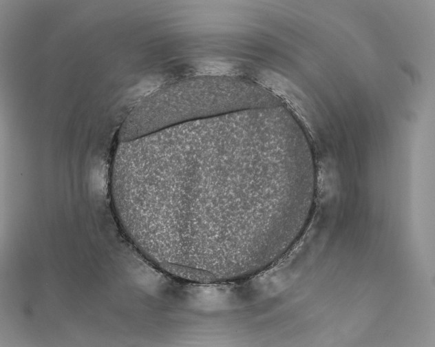 X0000112070305200909011028