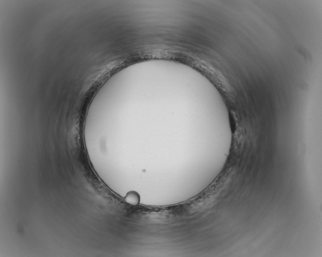 X0000112070306200909011028