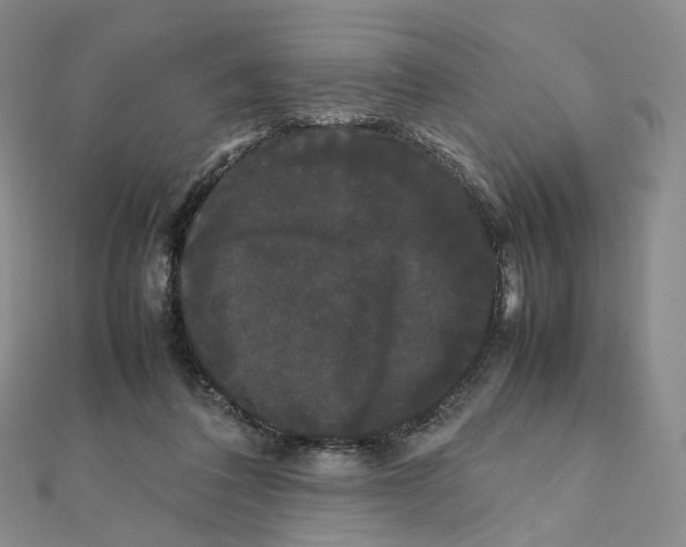 X0000112070308200909011028
