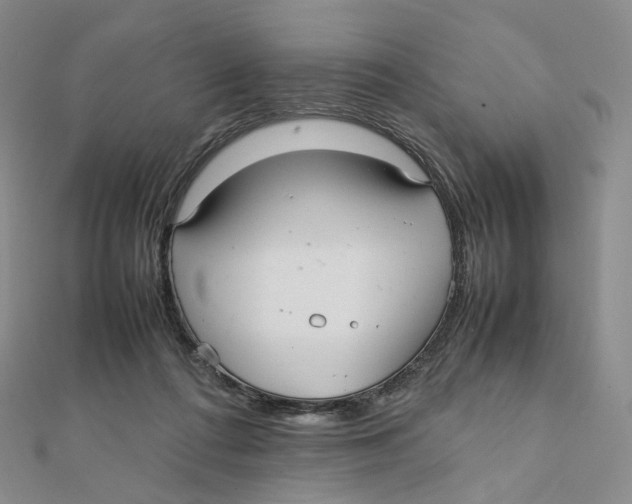 X0000112070312200909011028