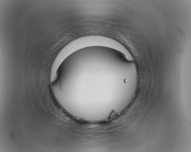 X0000112070313200909011028