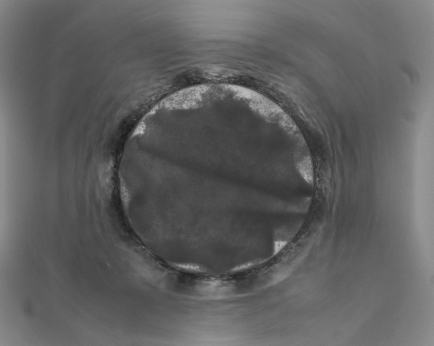 X0000112070319200909011028