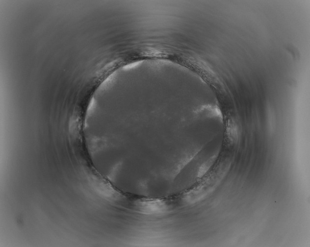 X0000112070322200909011028