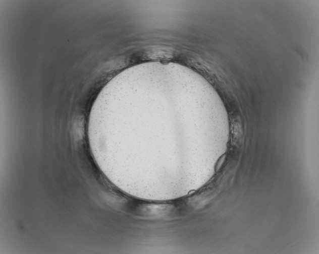 X0000112070323200909011028