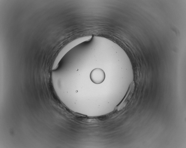 X0000112070324200909011028