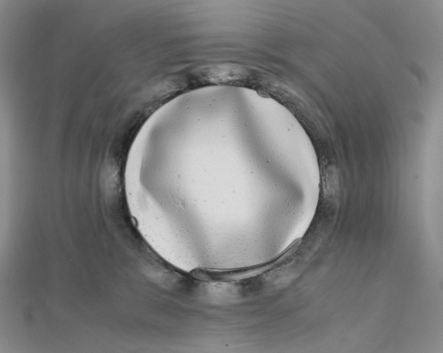 X0000112070327200909011028