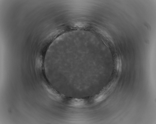 X0000112070328200909011028