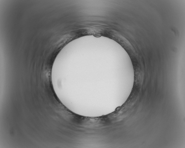 X0000112070329200909011028