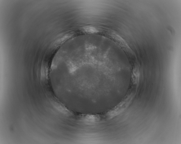 X0000112070330200909011028