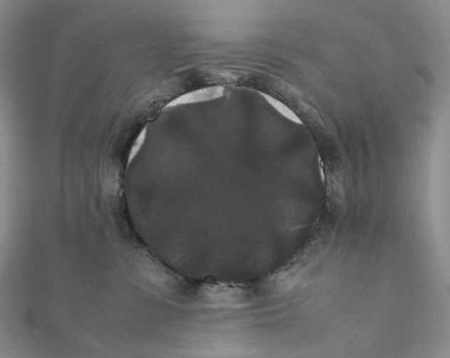 X0000112070331200909011028