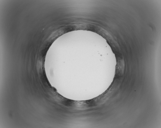 X0000112070333200909011028