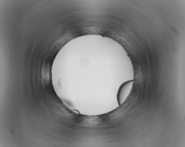 X0000112070334200909011028