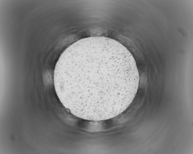 X0000112070335200909011028