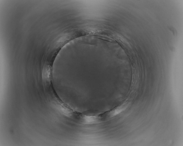 X0000112070336200909011028