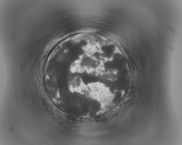 X0000112070337200909011027