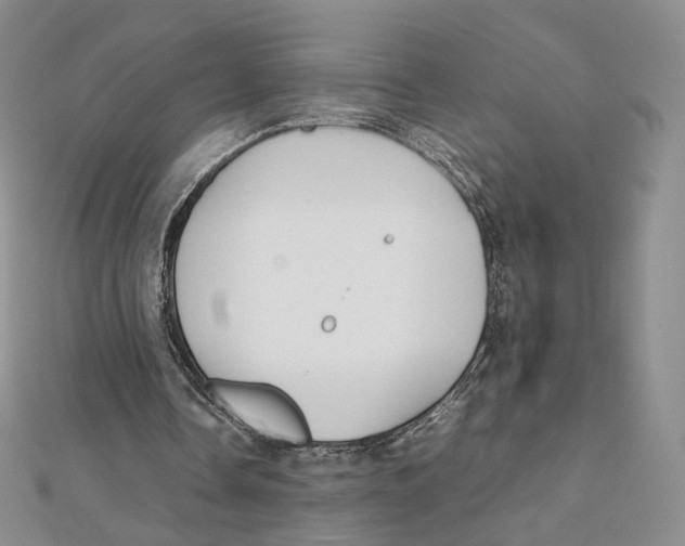 X0000112070338200909011027