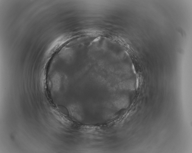 X0000112070339200909011027