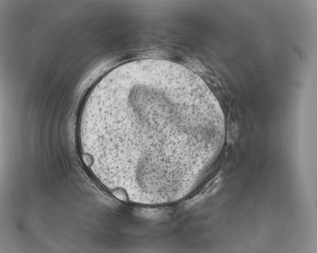 X0000112070341200909011027
