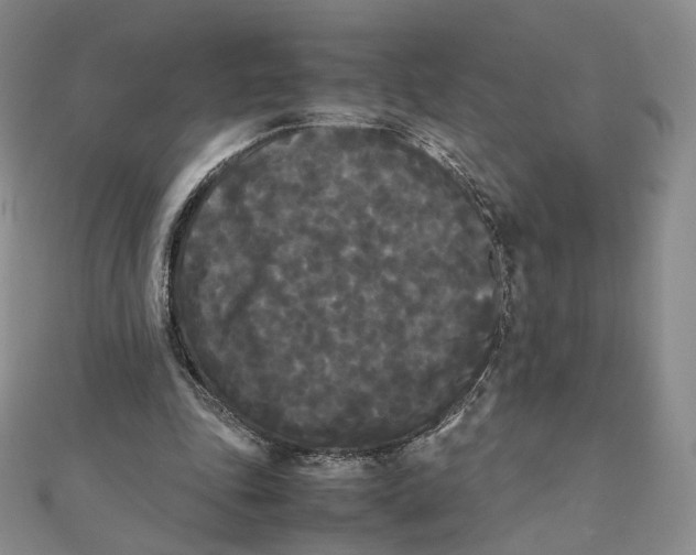 X0000112070343200909011027