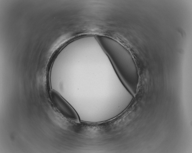 X0000112070344200909011027