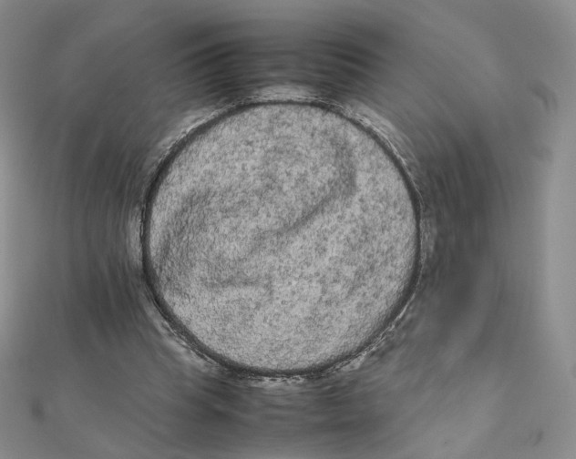 X0000112070345200909011027