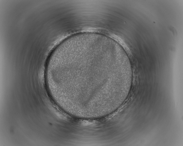 X0000112070346200909011027