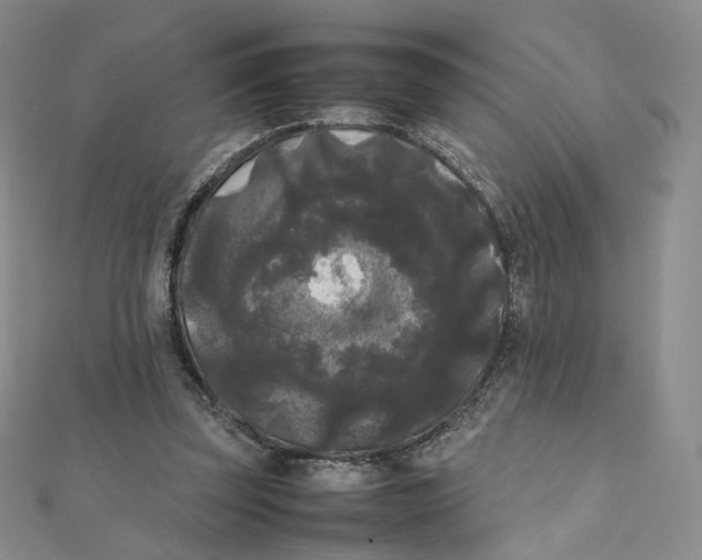 X0000112070347200909011027