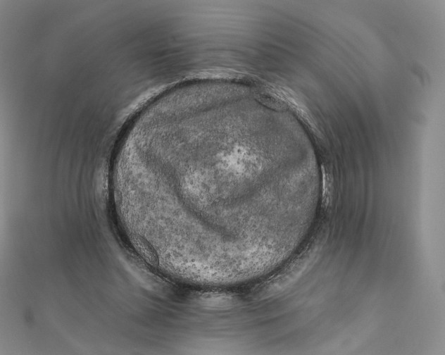 X0000112070348200909011027