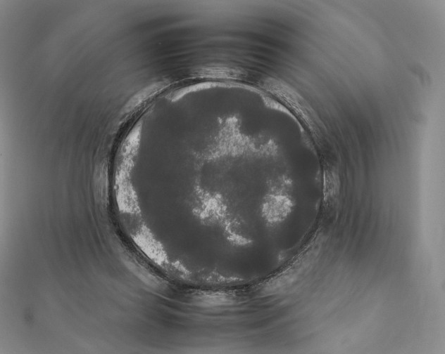 X0000112070349200909011027