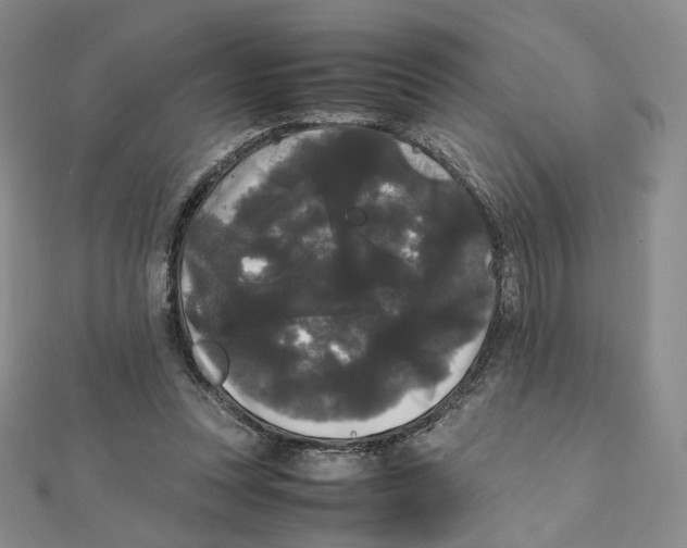 X0000112070351200909011027