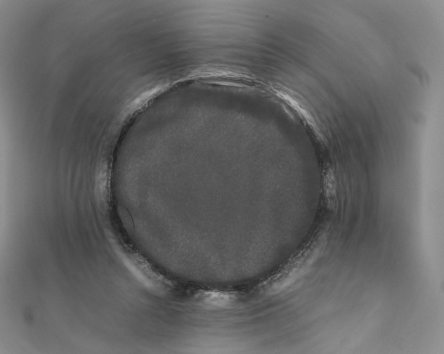 X0000112070352200909011027