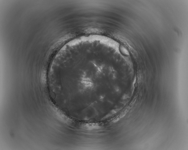 X0000112070353200909011027