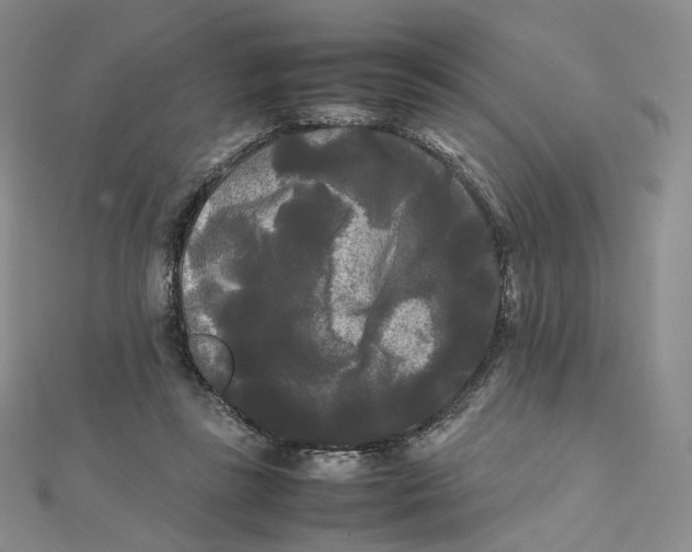 X0000112070355200909011027