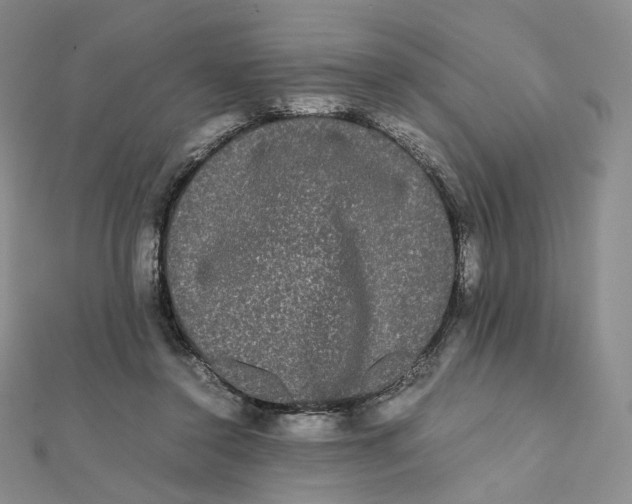 X0000112070356200909011027