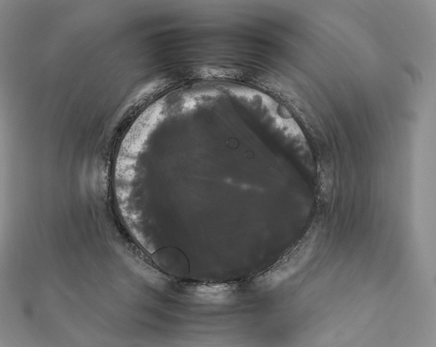 X0000112070357200909011027