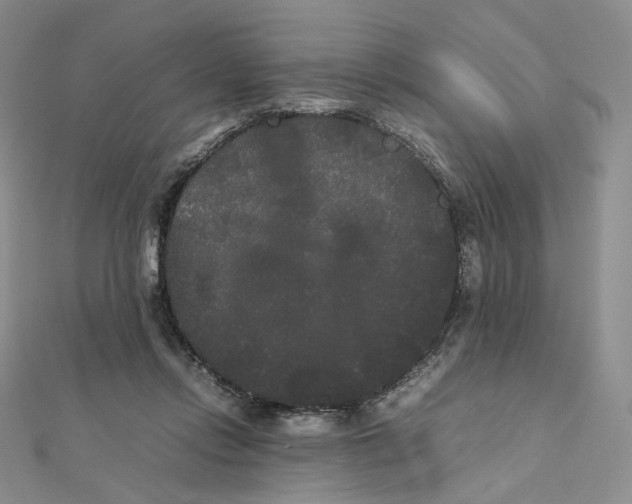 X0000112070358200909011027