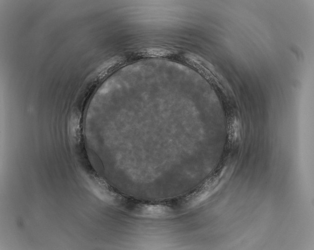 X0000112070360200909011027