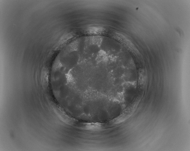 X0000112070363200909011027