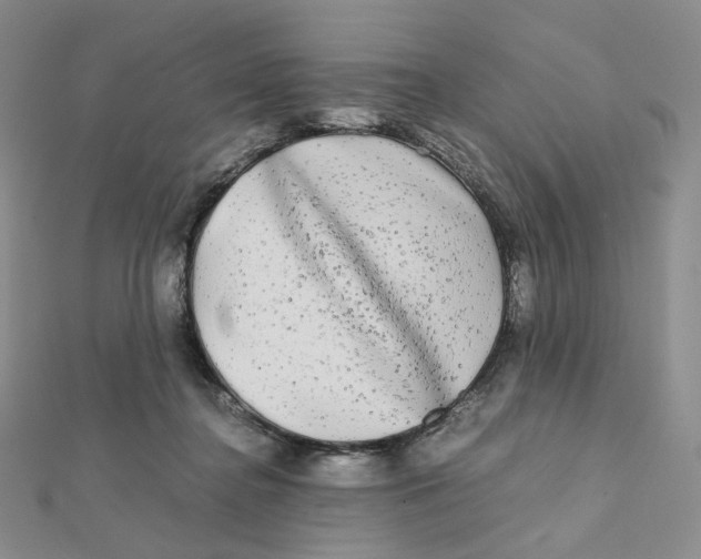 X0000112070364200909011027