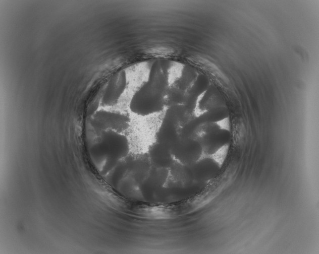 X0000112070365200909011028