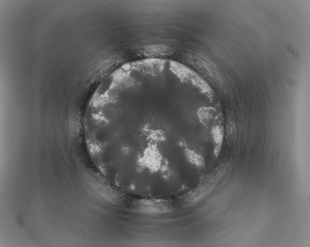 X0000112070367200909011028
