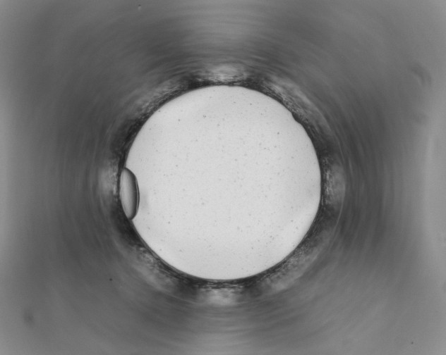 X0000112070368200909011028