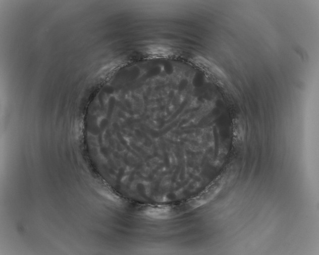X0000112070369200909011028