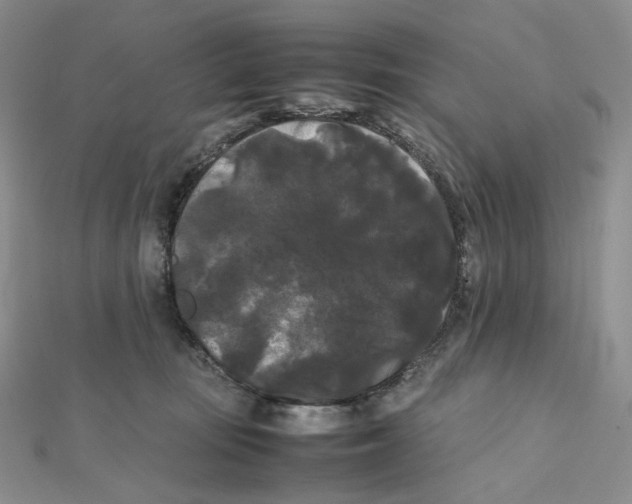 X0000112070371200909011028