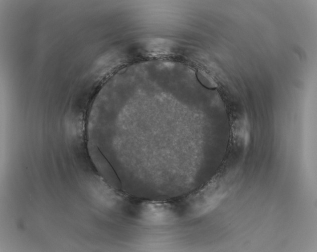 X0000112070372200909011028