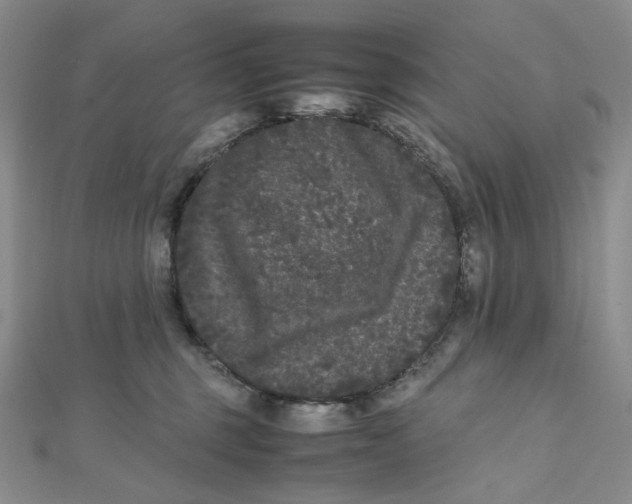 X0000112070375200909011028