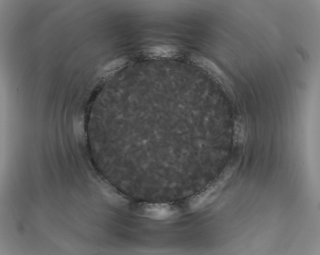X0000112070377200909011028
